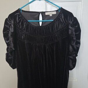 LOFT Midnight Velvet Blouse